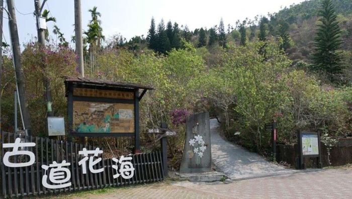 冬日暖陽適宜戶外踏青,到臺南登山吃美食賞美景 冬日暖陽適宜戶外踏青,到臺南登山吃美食賞美景