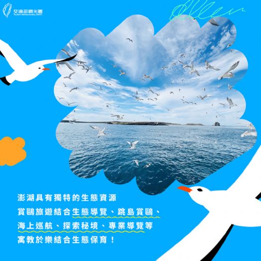 澎湖春日賞鷗之旅:探索自然美景,尋找燕鷗的家園 澎湖春日賞鷗之旅:探索自然美景,尋找燕鷗的家園