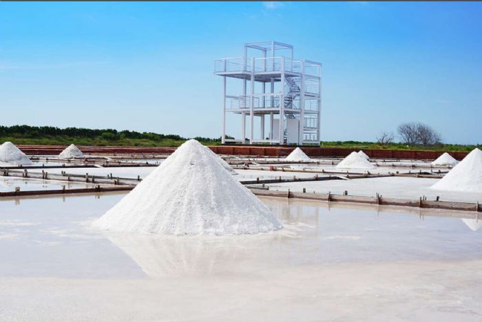 臺南邁入超高齡社會　推動銀髮無障礙旅遊打造樂齡宜居城市