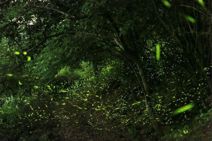 臺南溫泉再奪全國第一　連九年獲優等肯定打造台灣最強泡湯城