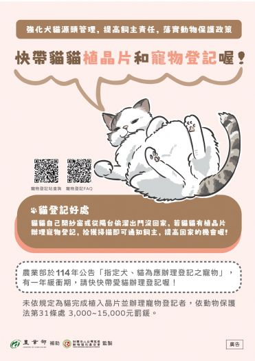 喵星人有了身分證！貓咪登記及晶片植入新規自115年1月1日起生效