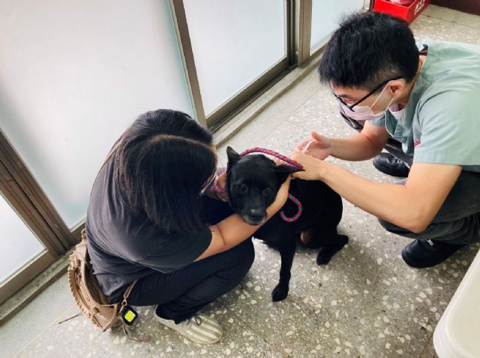 北市守護毛孩健康！42場山區巡迴免費狂犬病疫苗活動熱情開跑