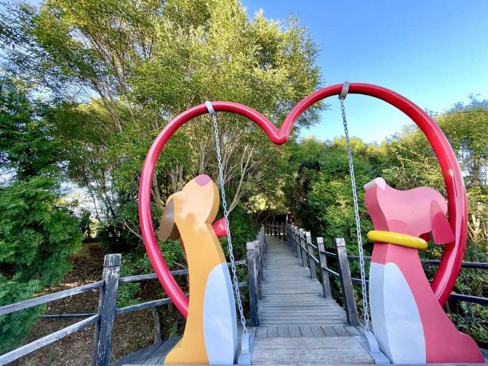 聖誕走進山林談戀愛　台中大坑9號步道化身浪漫「閱讀山林」愛戀路線