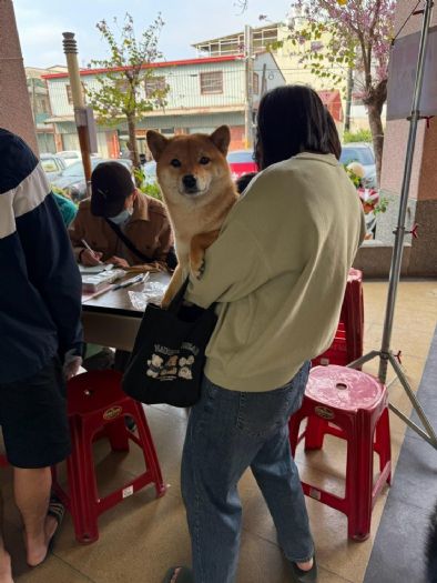阿蓮犬貓三合一活動：即使寒流來襲，熱情依舊不減！