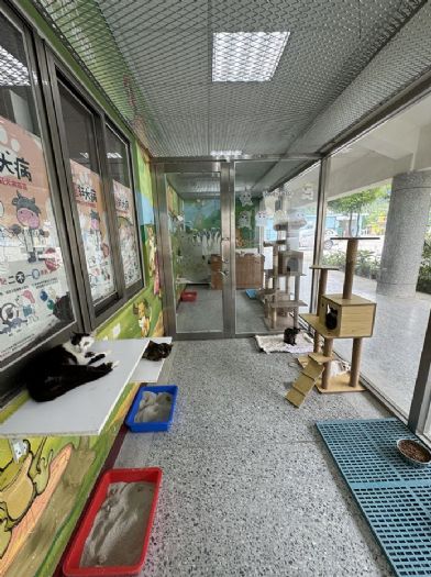 給毛小孩一個溫馨的家，來苗栗動物保護教育園區領養吧！