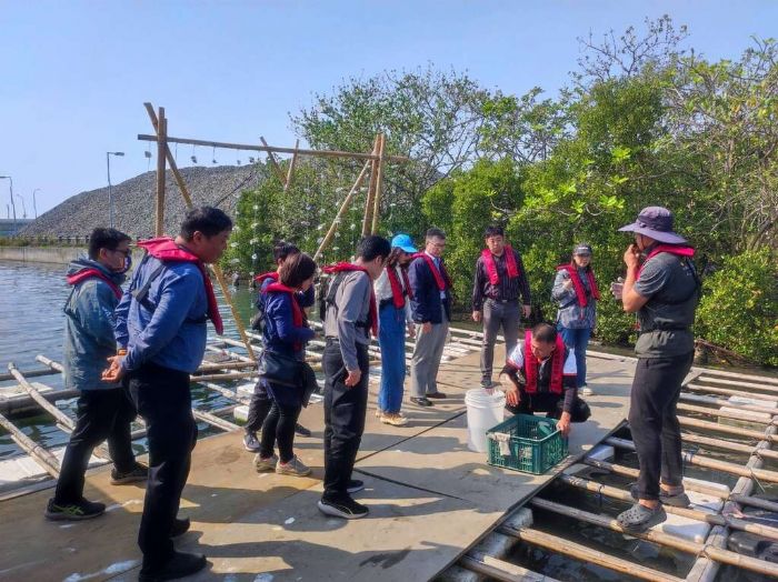 四鯤鯓水陸生態導覽7月登場　紅樹林、蚵棚與聚落文化一次體驗
