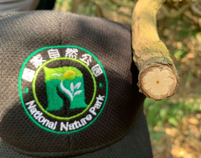 壽山林相的保護與共識