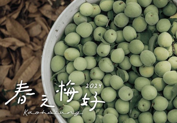 高雄迎接春天的青梅盛宴