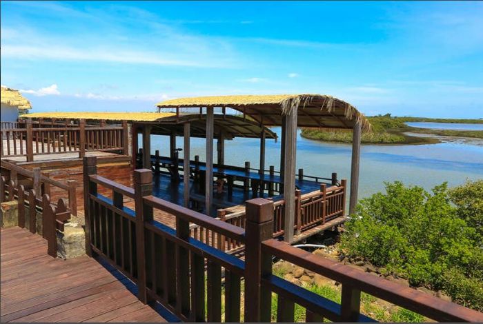 黑面琵鷺報到！六大濱海賞鳥點公開　搭配聖誕燈節、冬旅行程一次看