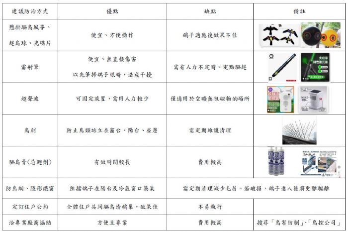 當鳥兒來訪：友善又有效的驅鳥指南，輕鬆打造和諧共居生活