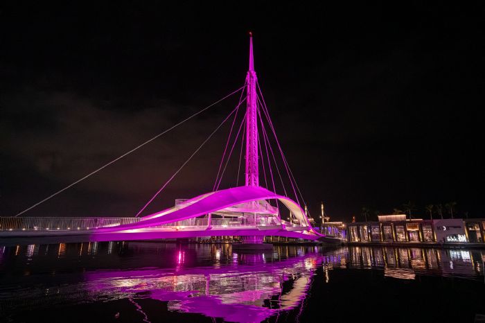 BLACKPINK週末登場！粉紅燈海閃耀港都，LIGHT UP 高雄 IN PINK