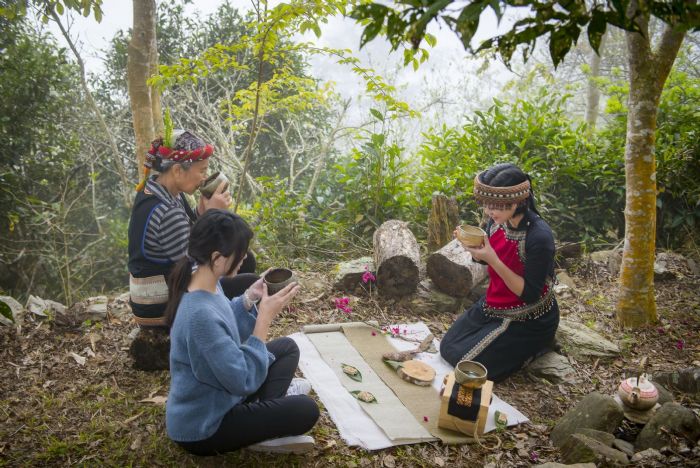 高雄寶山部落好茶飄香國際  | 「哈娜谷原生野山茶」勇奪世界綠茶大賽雙金獎