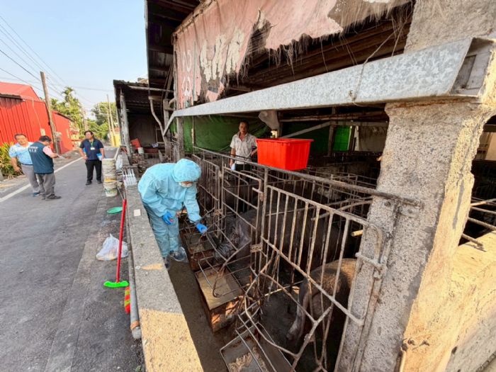 查獲屏東崁頂鄉豬場餵飼廚餘，屏縣府重罰60萬