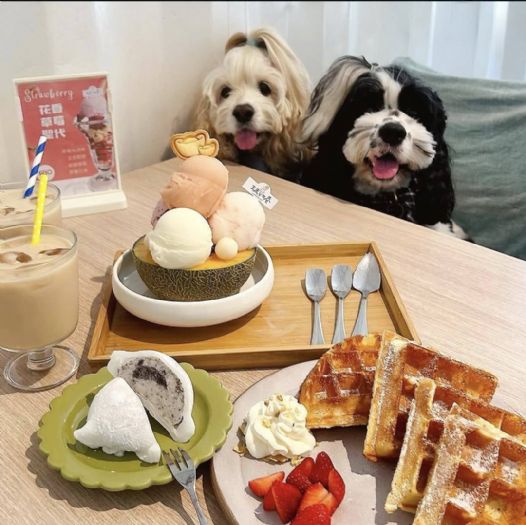 屏東推寵物友善，走訪店家拿好禮、親子毛孩一起玩