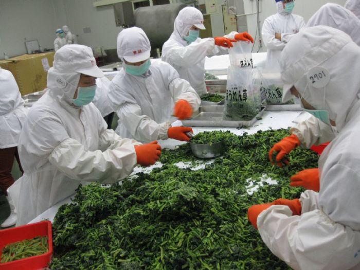 冷凍蔬菜，輕鬆上桌