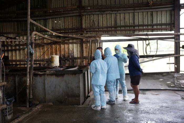 防堵非洲豬瘟！屏東縣啟動全面稽查行動，守護百萬豬隻健康與畜牧產業安全