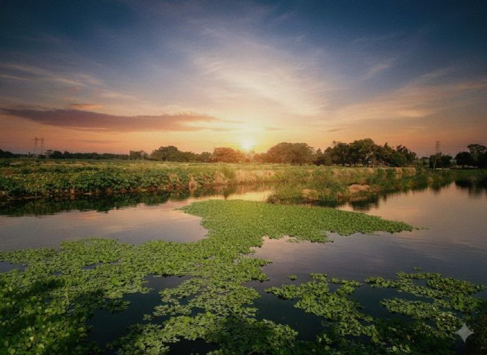 115年屏東區域植樹活動「原地扎根•韌性森活-植草護地•鴞遙森活」3/21登場