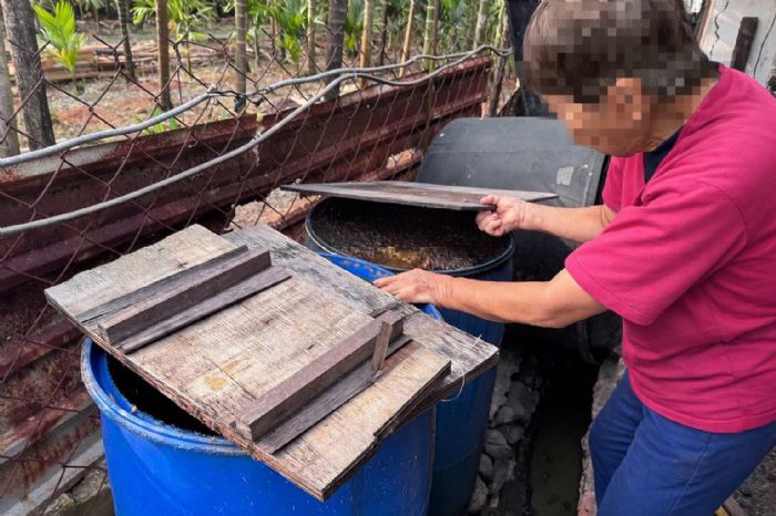 屏東查獲第6起豬場餵飼廚餘，重罰40萬