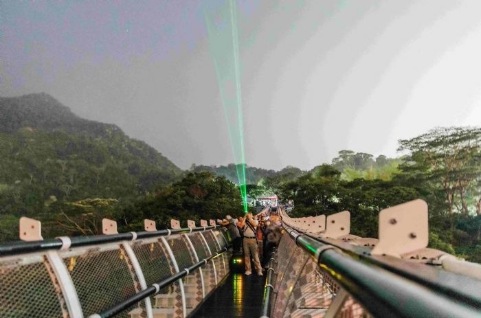 山川琉璃吊橋「深夜觀星」 流星劃過引民眾驚呼：最美的屏東記憶