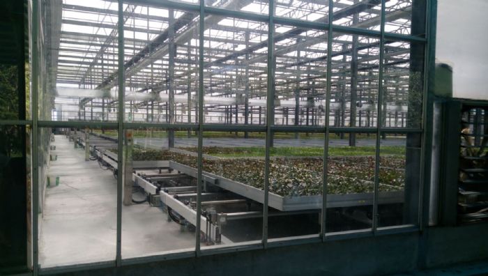 屏縣呼籲農、牧、漁民做好防寒措施及後續災情通報