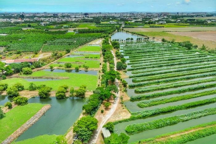 屏東之光！海豐濕地榮獲114年度中央環境教育評鑑佳績，濕地保育與環境教育推動成果卓著