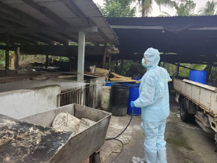 屏東縣再查獲養豬場餵飼廚餘，依法裁罰80萬元，即刻封鎖場內豬隻