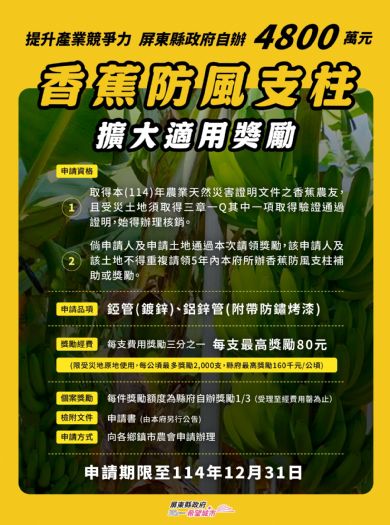 屏東加碼挺蕉農！三章一Q香蕉防風支柱補助啟動，最高可領200元、三場說明會同步登場