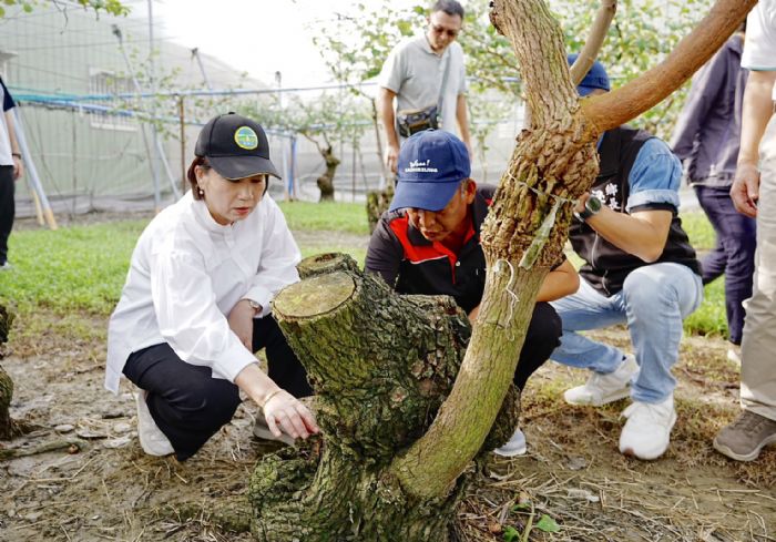 「齊心守護農業家園」——屏東縣全力搶救逾億元農損，盼及早補助協助農友安心復耕