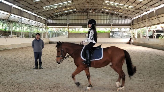 新北推動大動物獸醫培訓再升級，馬病臨床講座傳承專業、守護動物健康