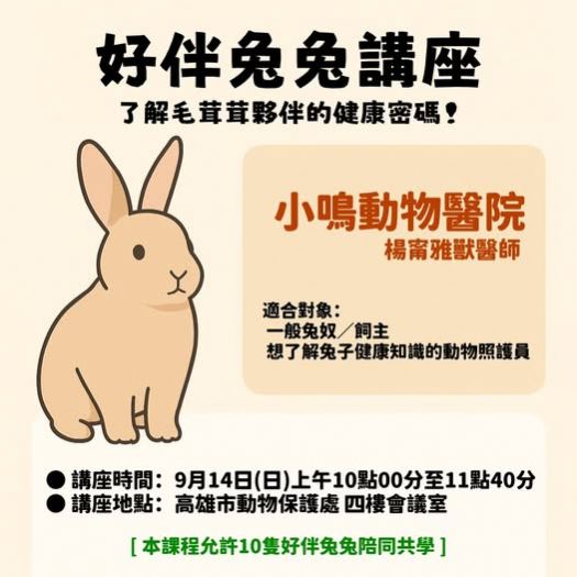 守護毛茸小夥伴！高市動保處 9/14「好伴bàn兔兔講座」帶您破解兔兔健康密碼