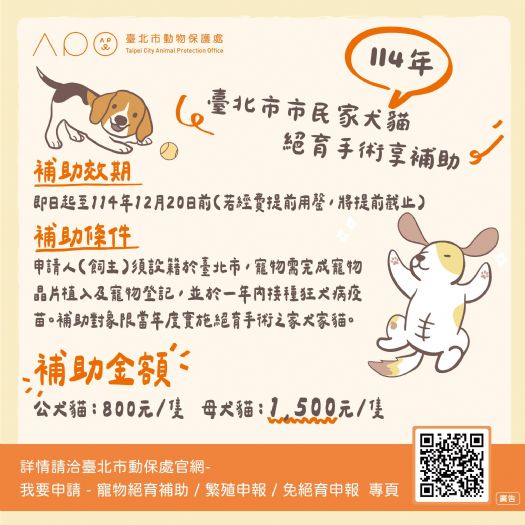 台北毛孩幸福加倍！家犬貓絕育補助開跑中，暖心守護一路到 12/20