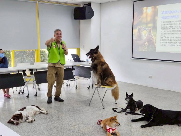 幸福毛孩生活課程溫馨登場，犬隻觀察、繪本分享與貓咪故事帶來滿滿感動