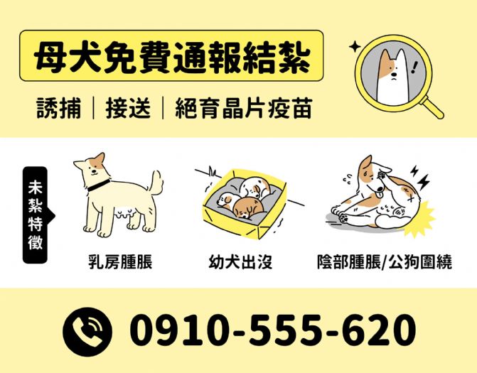 苗栗縣攜手社區推動高強度母犬絕育計畫，共創安全友善環境