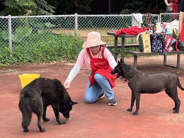 愛在板橋動物之家，微星「寵愛社」志工隊四年暖心陪伴，讓毛寶貝重拾信任與幸福