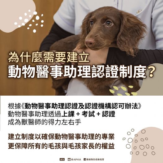 溫馨守護毛孩健康，動物醫事助理認證制度正式上路