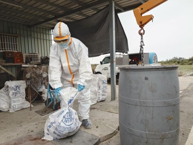守住禽場安全線：動保處即時應變，全力防堵高病原性禽流感擴散