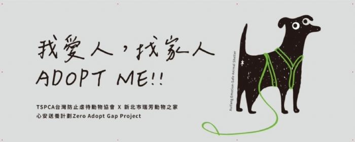 新北認養活動暖心登場！毛孩走進生活日常，在IKEA遇見屬於自己的家