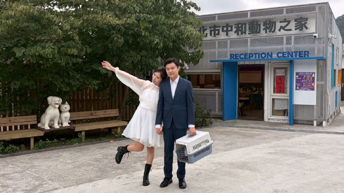 在婚紗與毛孩笑容之間，看見愛與責任：一對新人用鏡頭為流浪動物發聲