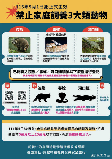 115年5月1日起北市禁養動物新制上路！浣熊、毒蛇、河口鱷飼主儘速完成登記，才能合法續養至終老