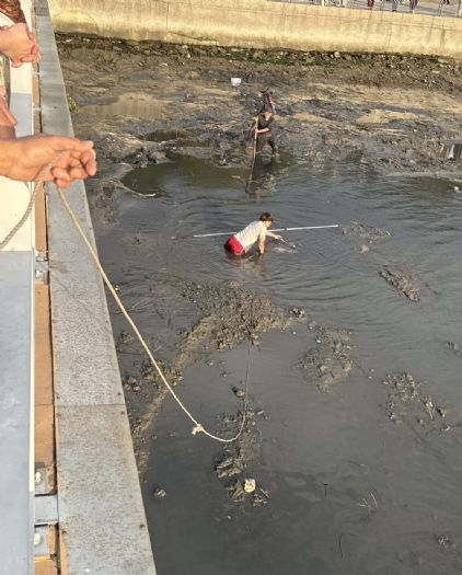 巨魚迷航，暖心接力，關渡碼頭翻車魚受困，民間與市府聯手助牠平安回海