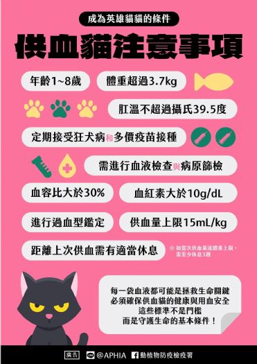 毛孩的守護天使──犬貓輸血安全新規範，用愛連結生命