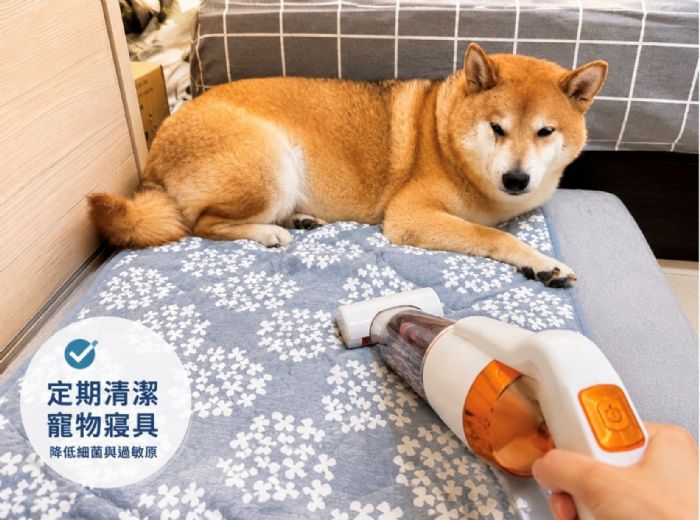 芒種濕熱季來襲！毛孩皮膚健康拉警報，掌握三大照護關鍵安心迎夏