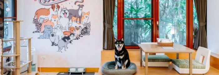 新北推動寵物友善店家分級評鑑，打造毛寶貝專屬友善旅遊指南