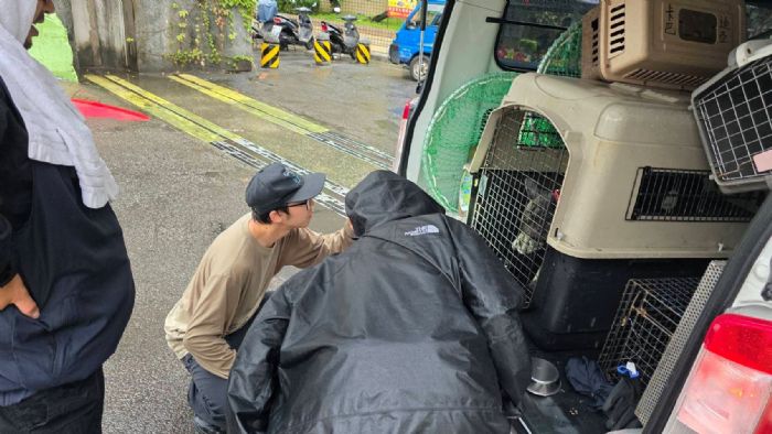 雨中救援不缺席！黑犬受困橋下驚險獲救，新北動保暖心接力找到幸福新家