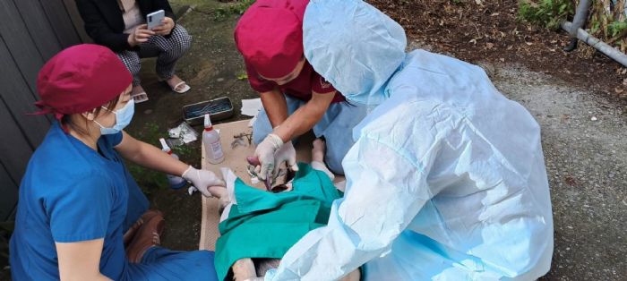 致敬防疫最前線的守護者！新北1/6獸醫師節感謝特約獸醫團隊，默默守住畜牧安全防線