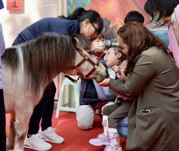 馬年暖心登場！新北「以馬為媒」特展開展，感受療癒與生命教育的力量