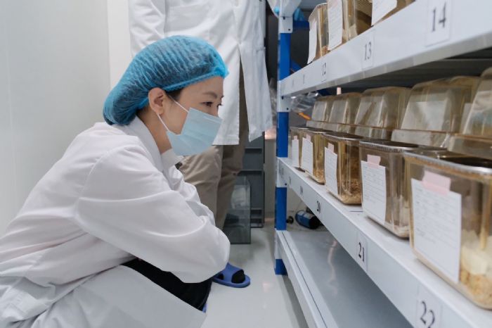 科學與生命的平衡｜新北市嚴格把關實驗動物福祉，守護研究品質與人道價值