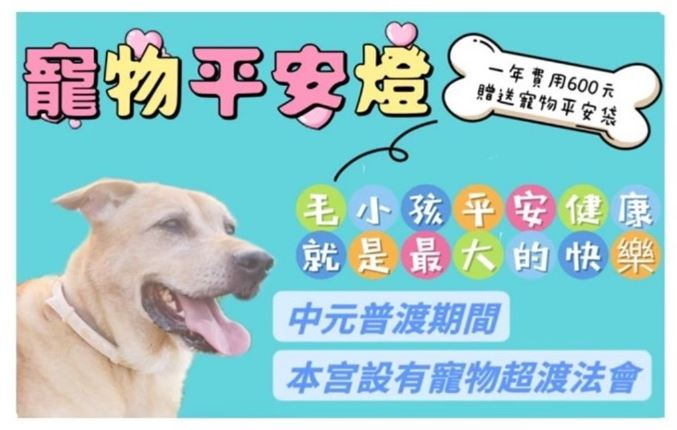 AI媒合找家人，新北推寵物平安燈與認養活動