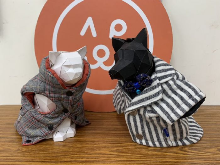寒流不怕冷！臺北市動物之家暖心升級防寒照護，認養還送新衣迎新年