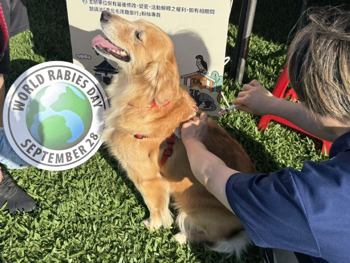花海野餐遇見毛孩！北市動保處邀您春遊大安森林公園，守護寵物健康